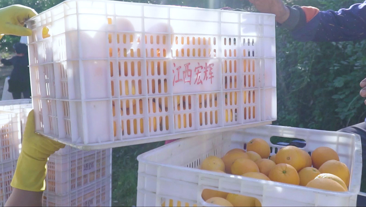 收后采购